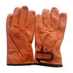 Read more about the article Gloves